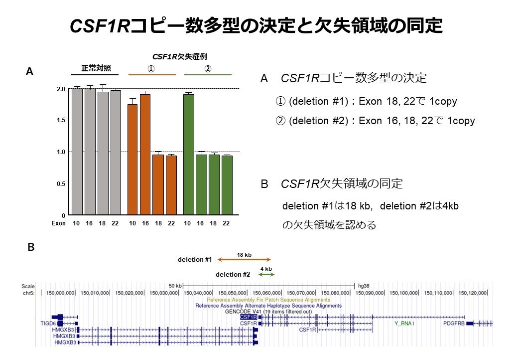 研究成果発表_脳神経内科学分野_図_230321_2.jpg